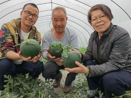 吃瓜群众 黑料不打料入口,吃瓜群众如何辨别真假黑料